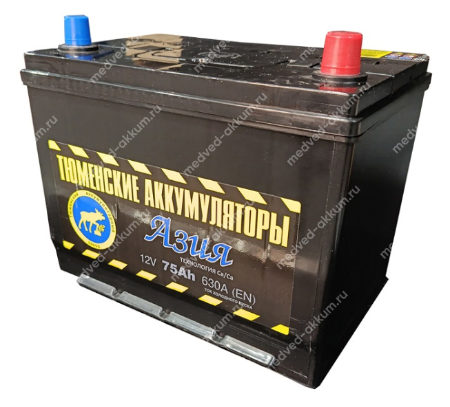 Тюмень Asia 75 Ач обр. D26