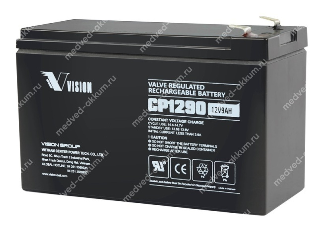 Vision CP1290 12V 9 Ач