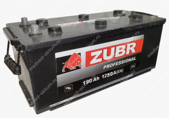 ZUBR Professional 190 Ач евро. B