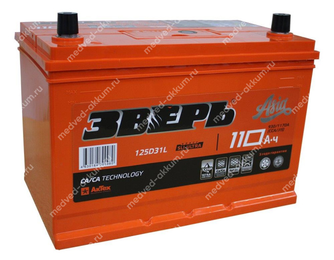 Зверь-Азия 110 Ач пр. 125D31R