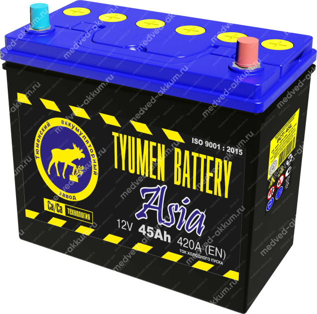 Тюмень Asia 45 Ач обр. B24