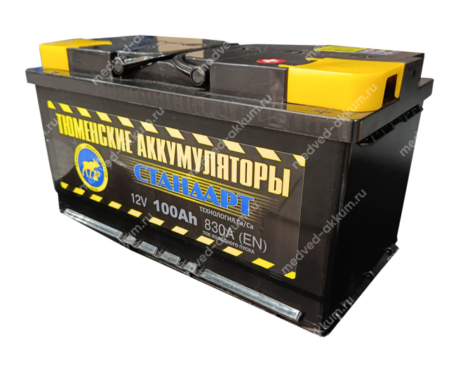 Тюмень Standard 100 Ач обр. L5